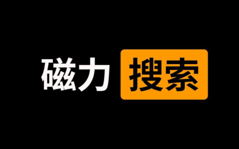 全网最全BT磁力搜索引擎索引，持续更新中