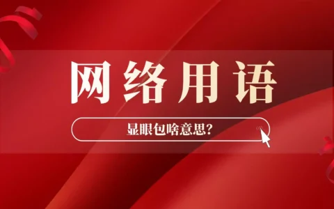 网友说撒贝宁是国家级显眼包，显眼包是什么意思？